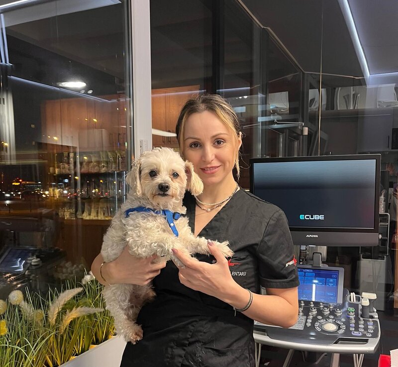 Eyevet - Clinica Oftalmologie Veterinara