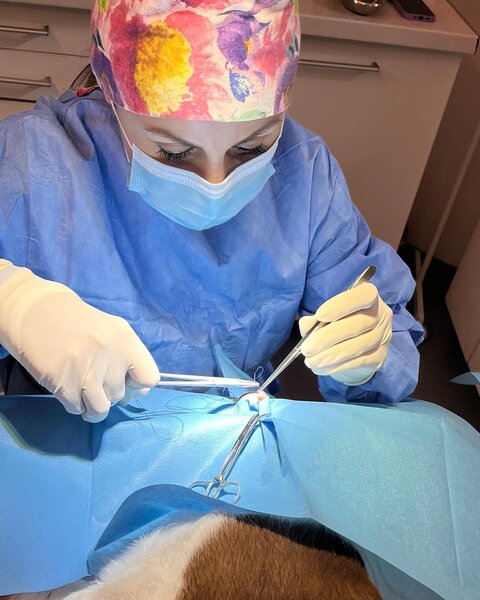 Eyevet - Clinica Oftalmologie Veterinara
